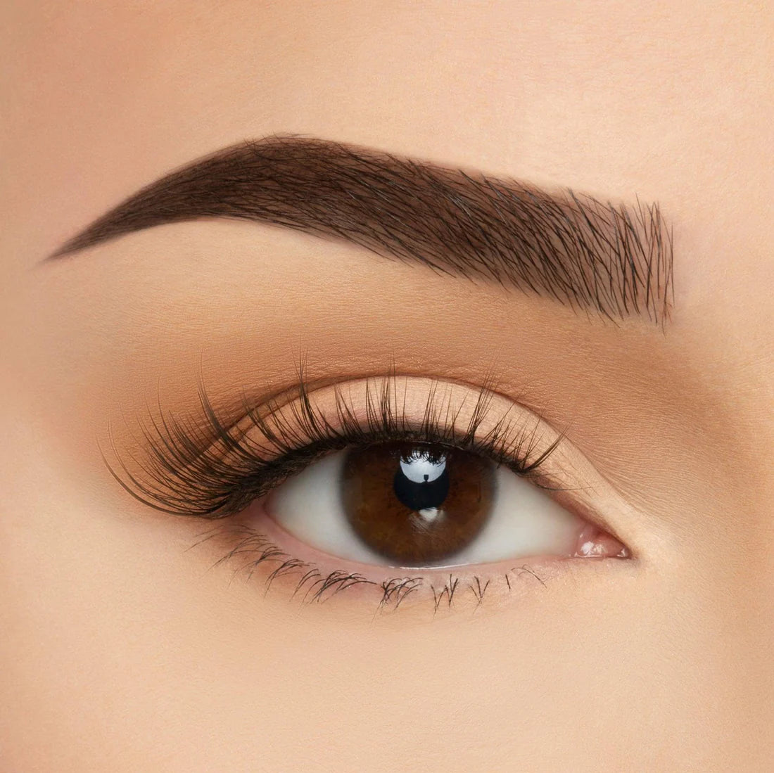 BEAUTY CREATIONS TAKE ME SOMEWHERE SILK LASH