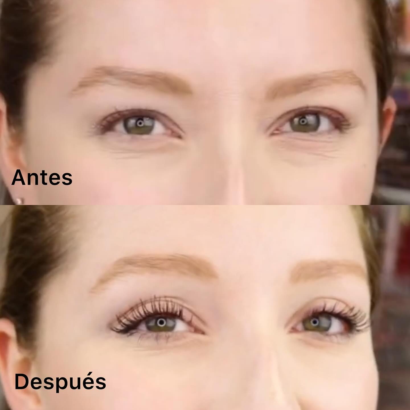 COVERGIRL LASH EXACT MASCARA
