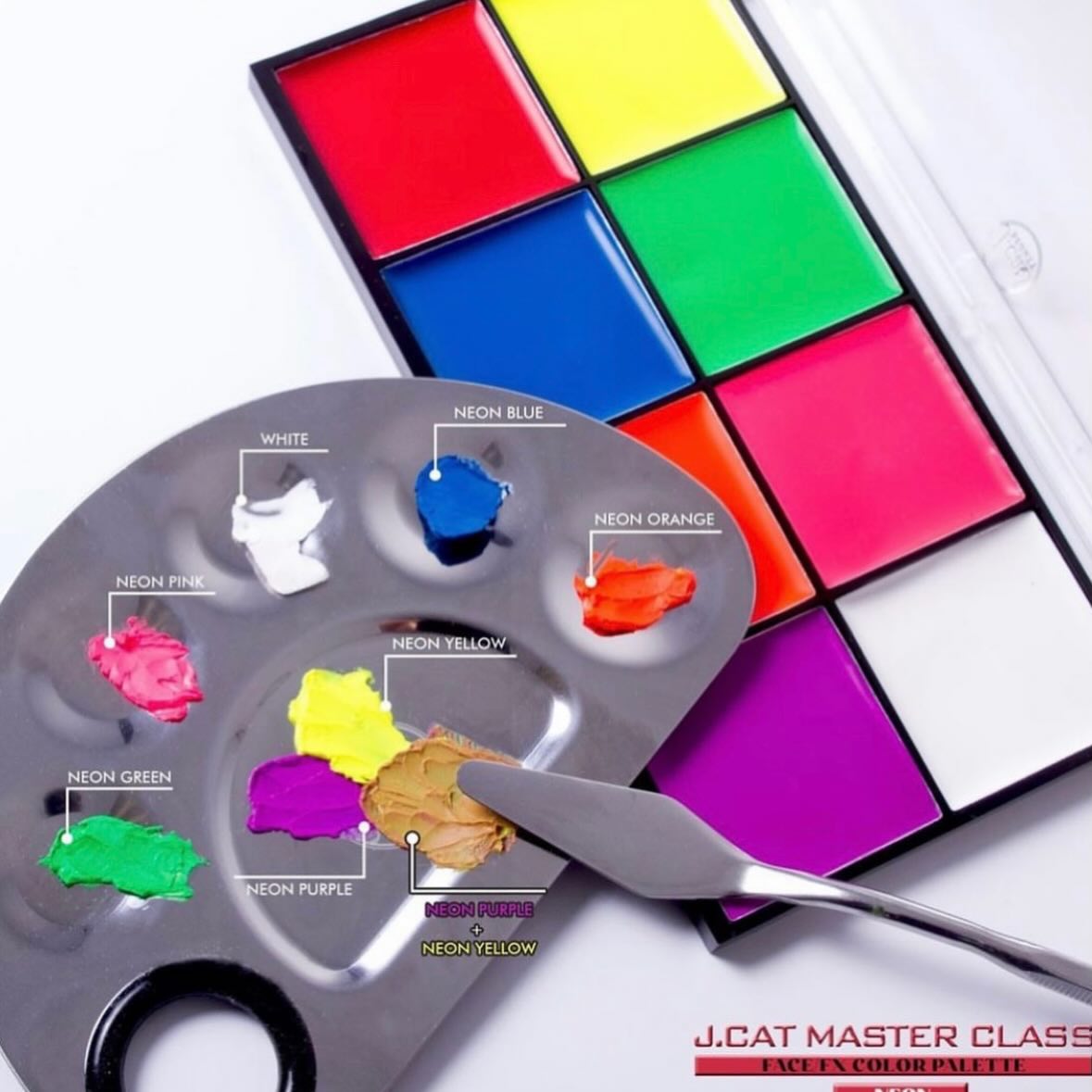 JCAT MASTER CLASS FACE/FX PALETA COLORES