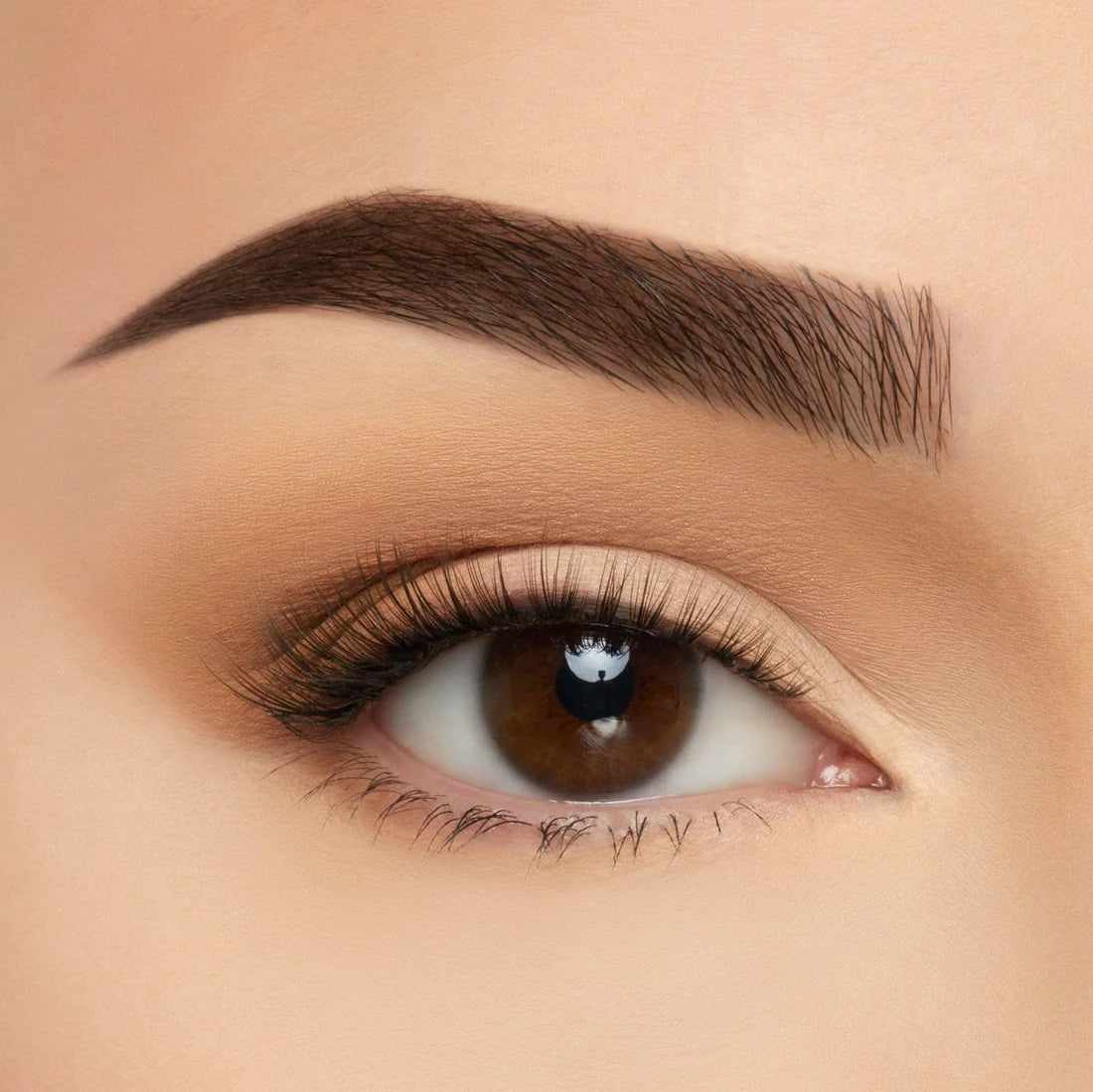 BEAUTY CREATIONS TAKE ME SOMEWHERE SILK LASH