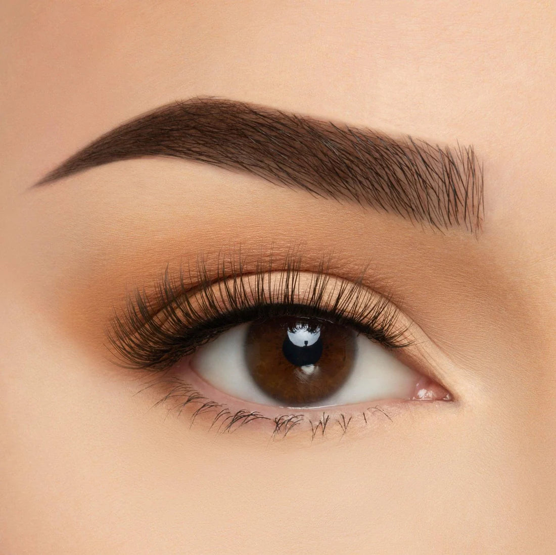 BEAUTY CREATIONS TAKE ME SOMEWHERE SILK LASH