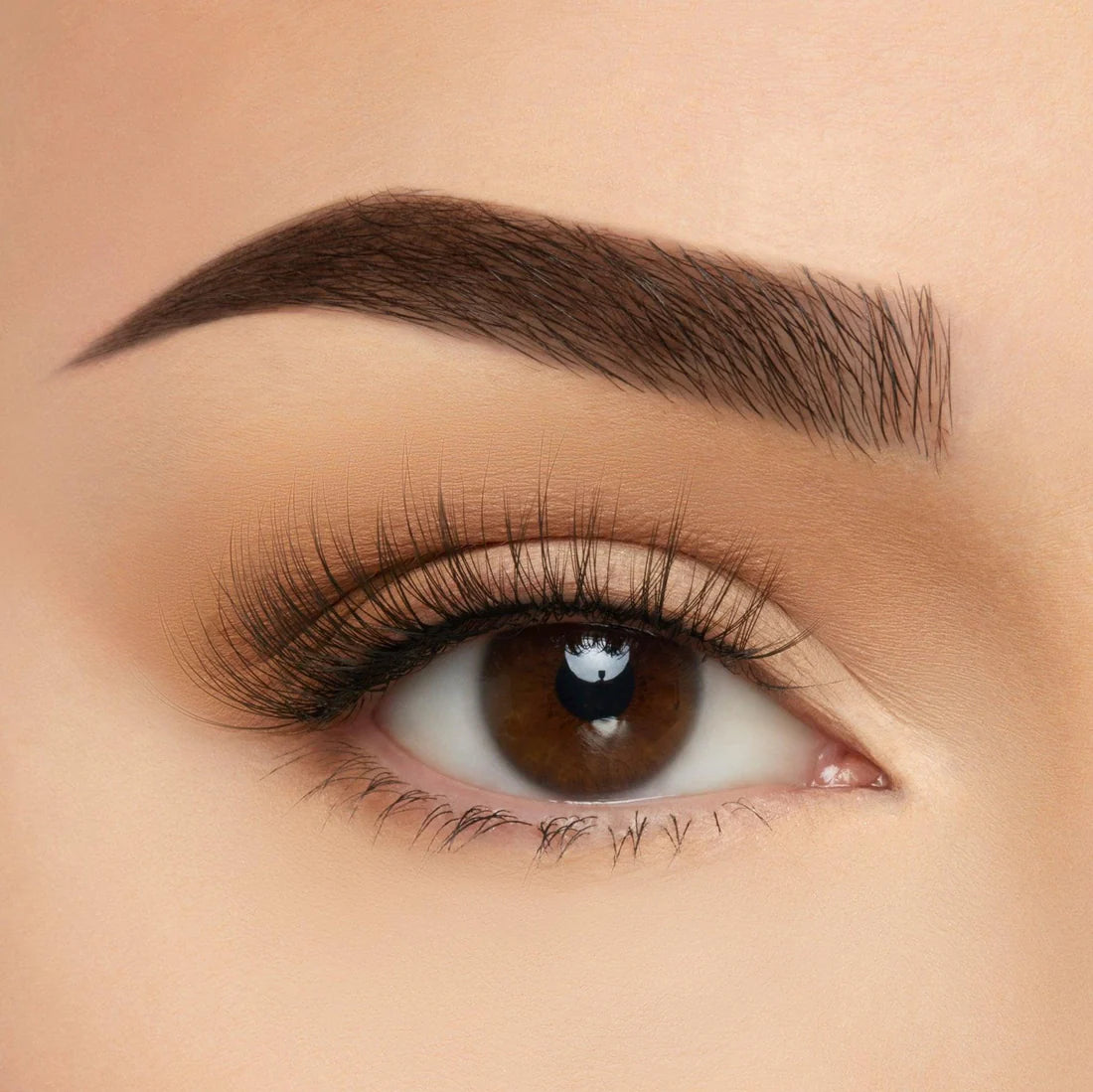 BEAUTY CREATIONS TAKE ME SOMEWHERE SILK LASH