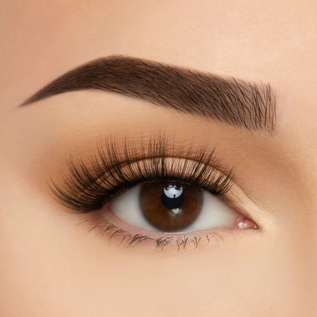 BEAUTY CREATIONS TAKE ME SOMEWHERE SILK LASH