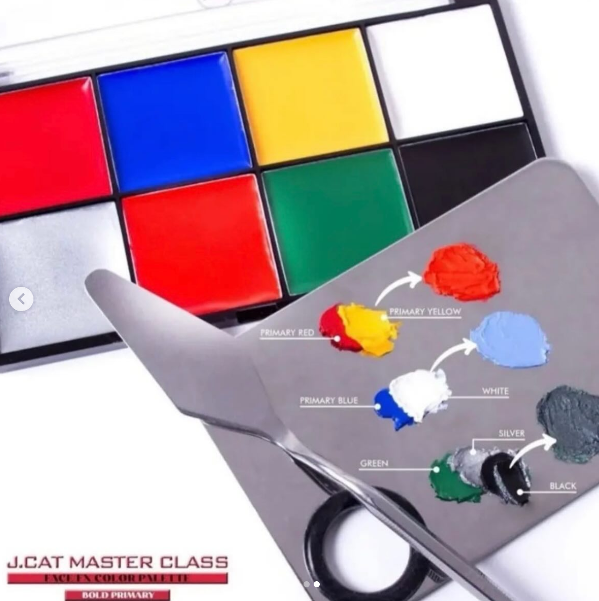 JCAT MASTER CLASS FACE/FX PALETA COLORES