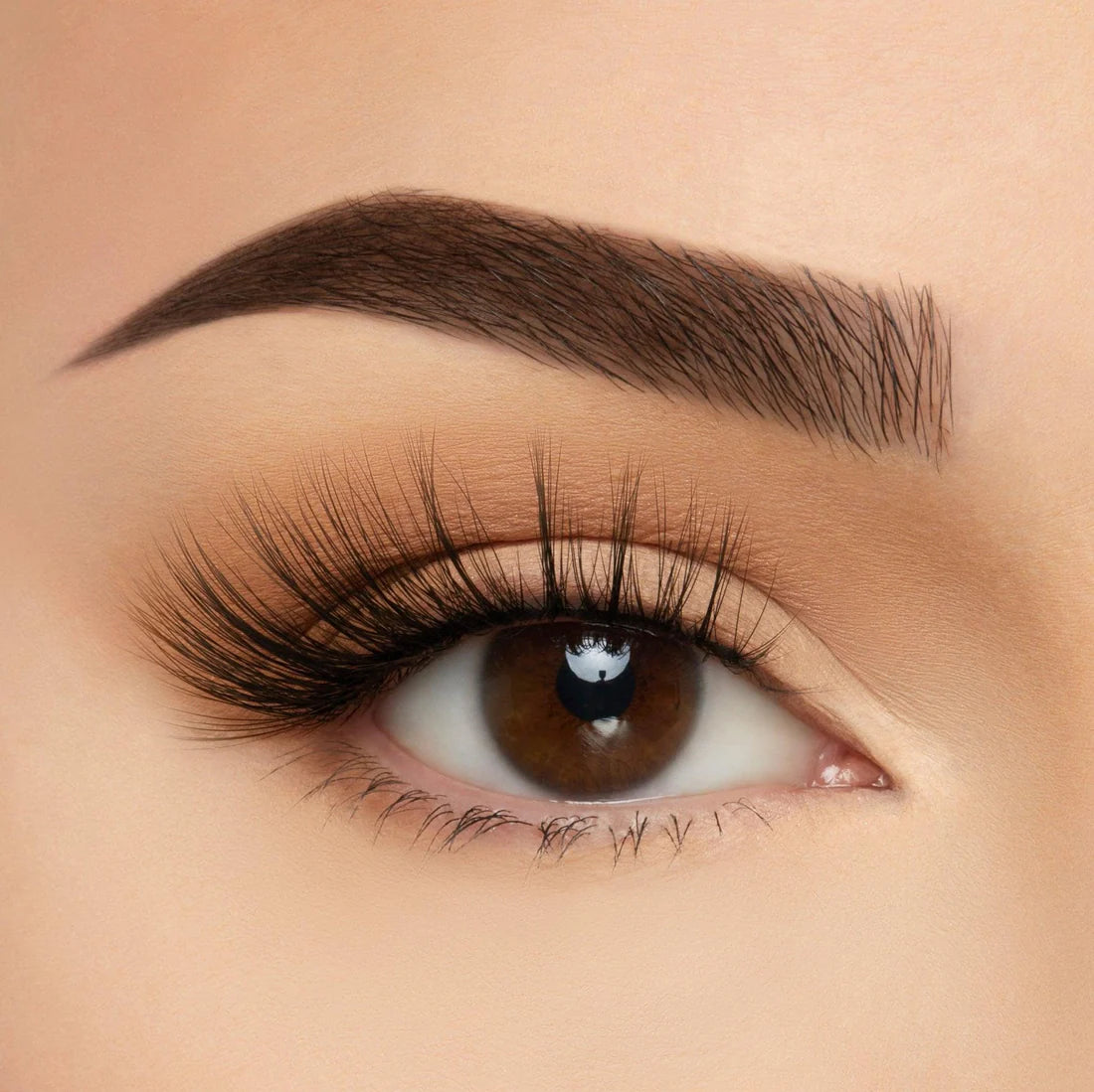 BEAUTY CREATIONS TAKE ME SOMEWHERE SILK LASH