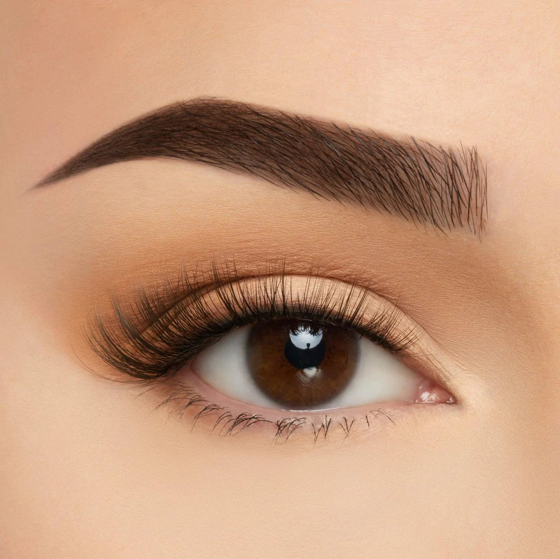 BEAUTY CREATIONS TAKE ME SOMEWHERE SILK LASH