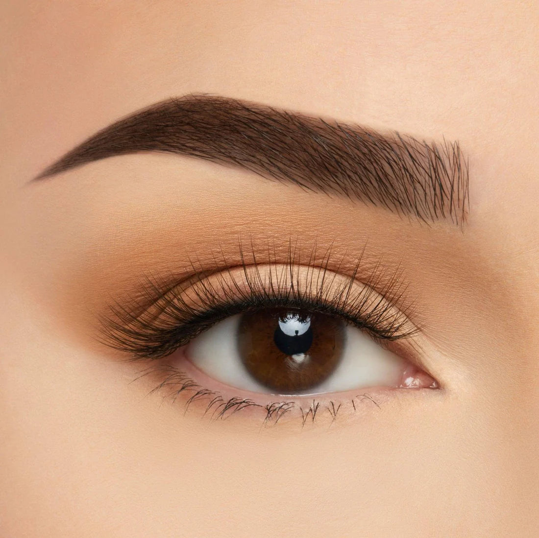 BEAUTY CREATIONS TAKE ME SOMEWHERE SILK LASH