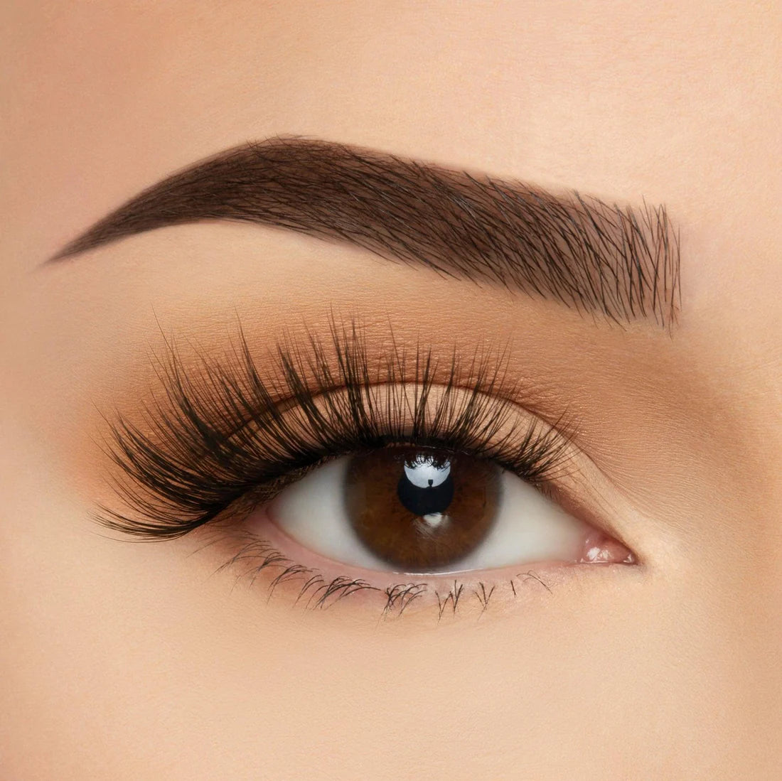BEAUTY CREATIONS TAKE ME SOMEWHERE SILK LASH