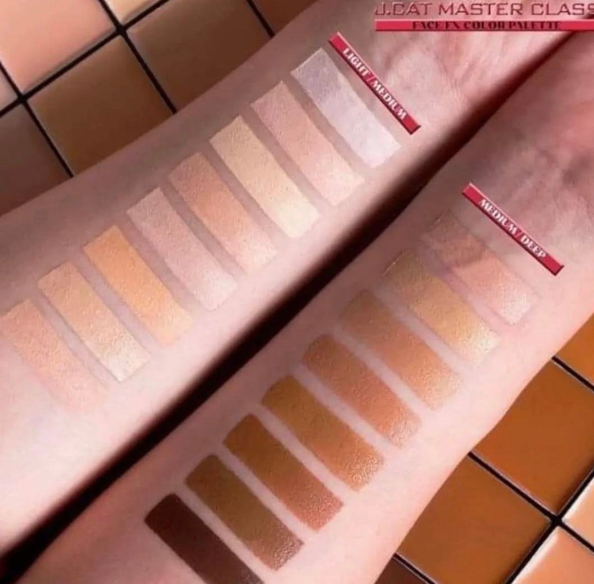 J CAT MASTER CLASS FACE/FX COLOR PALETTE