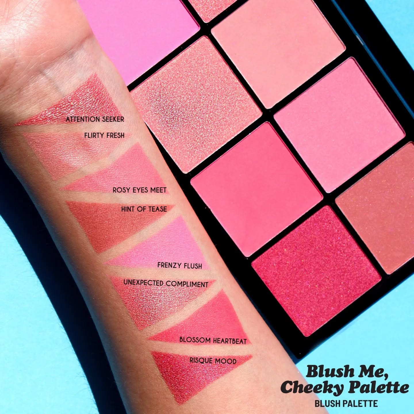 J CAT BLUSH ME, CHEE PALETA